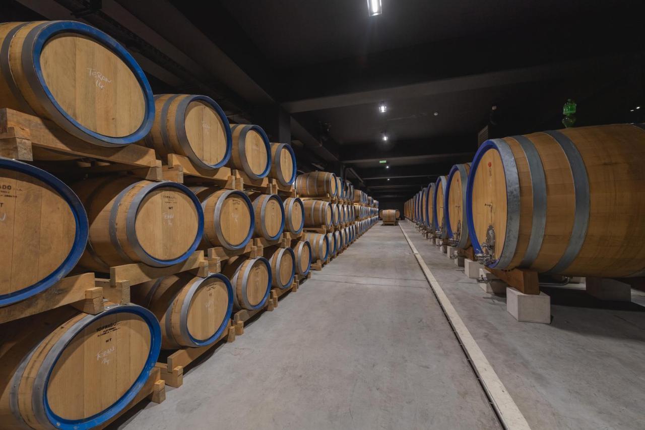 Winery & Design Hotel Roxanich モトヴン エクステリア 写真