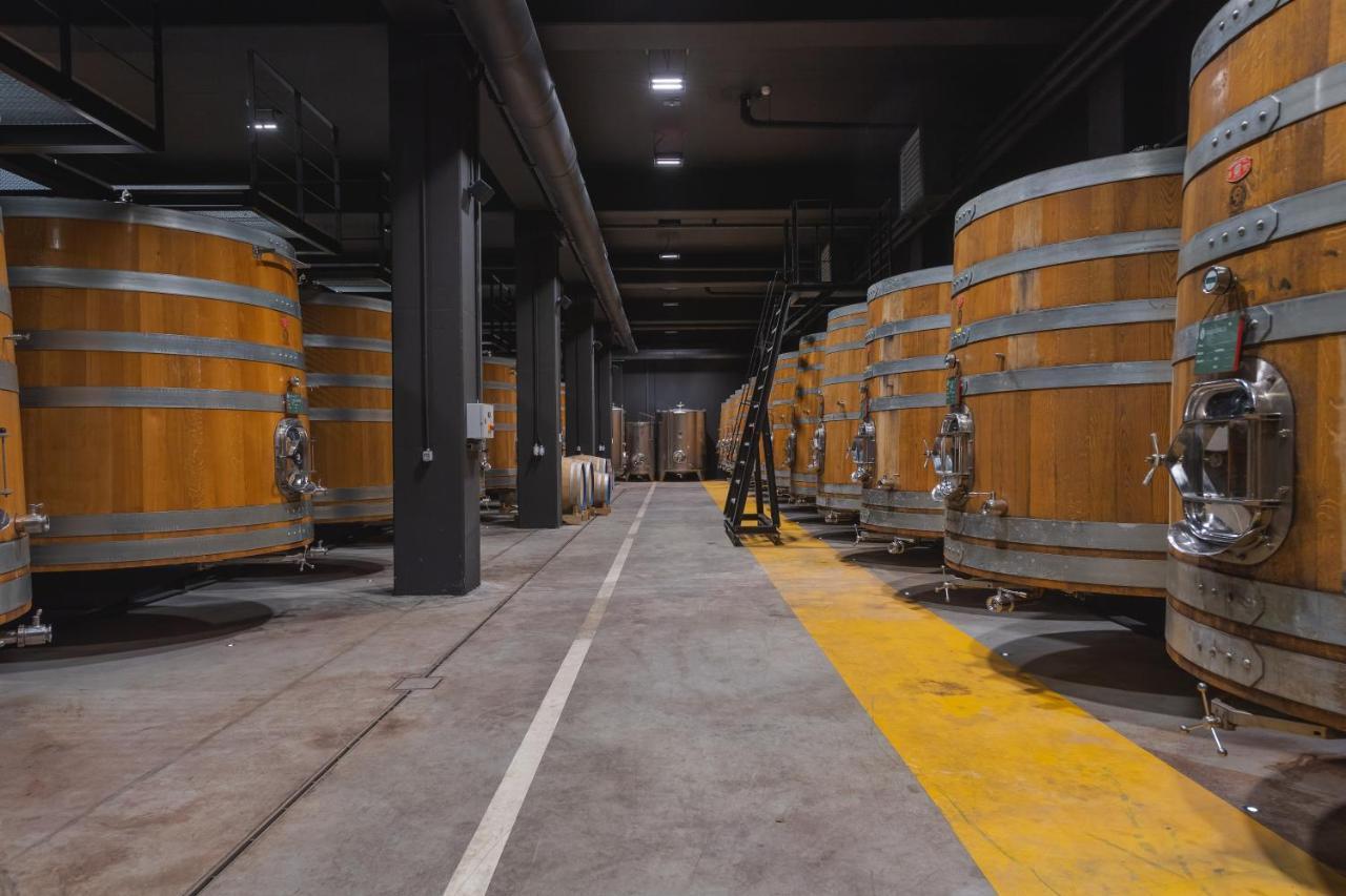 Winery & Design Hotel Roxanich モトヴン エクステリア 写真